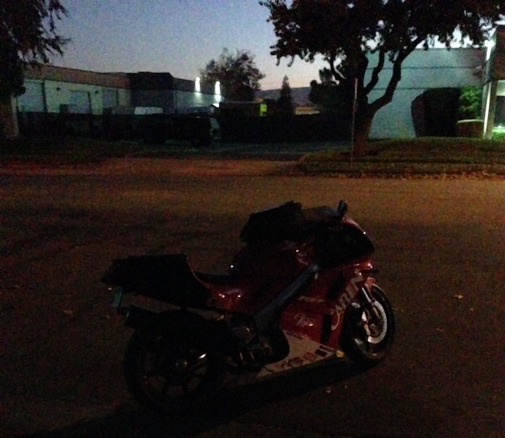 early_bird.jpg